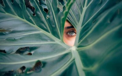 Profhilo protocol for eyes